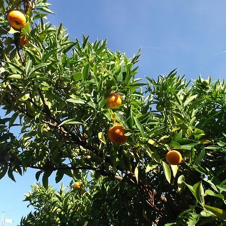 Chouette Coquette Дом отдыха Салз-ле-Шато